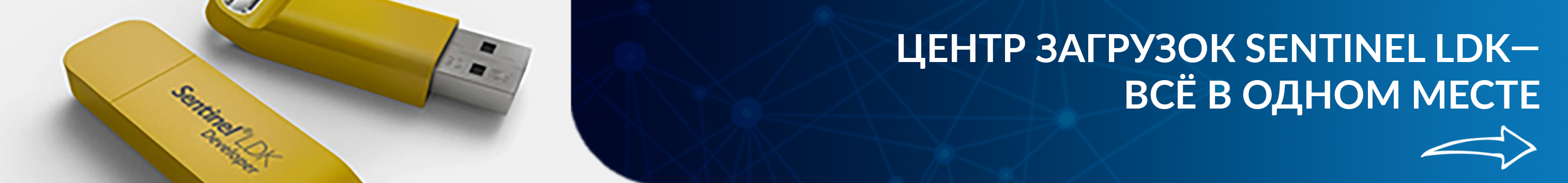 Центр загрузок Sentinel LDK